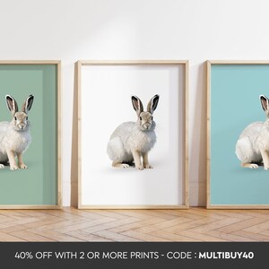 Any colour - Snowshoe Hare Print - Snowshoe Hare poster - Snowshoe Hare Art - Snowshoe Hare print - Any Size