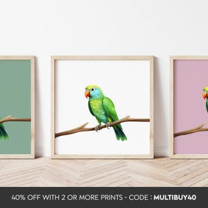 Any colour  - Parrot Print - Baby Parrot poster - Bird poster - Parrot print - Any Size
