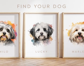 Custom dog poster - Havanese dog poster - Havanese dog print -  Havanese Puppy watercolour - Pet Portraits