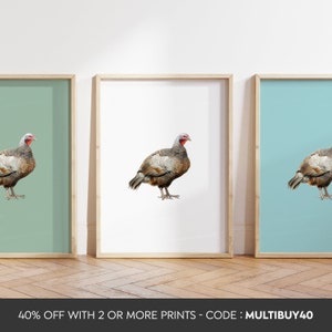 Qualsiasi colore - Stampa gallina - Poster gallina - Arte gallina pollo - Stampa animale - Qualsiasi dimensione