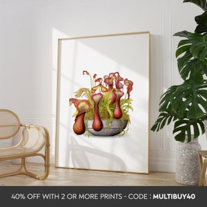 Cualquier color - Impresión de plantas de jarra tropical- Cartel de Nepenthes - Carteles de plantas tropicales - Cualquier tamaño