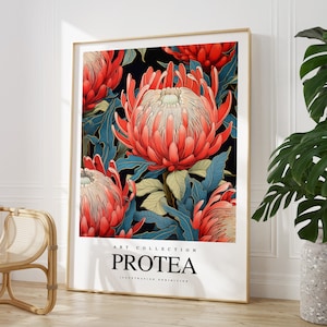 N'importe quelle couleur - impression Protea - affiche Protea Flowers - Protea Art - impression vintage - n'importe quelle taille