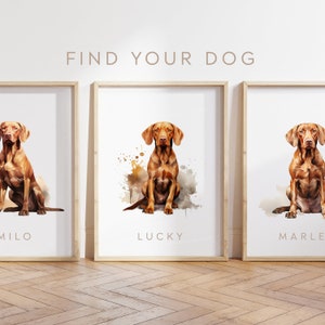 Any Colour - Vizsla Dog - Vizsla poster - Custom text print - Personalised print - Pet Art - Watercolour Art