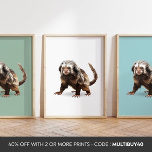 Any colour  - Marmoset Print - Marmoset poster - Marmoset Art - Animal print - Monkey Print - Any Size