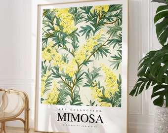 Any colour - Mimosa print - Mimosa Flowers poster - Mimosa Art - Vintage print - Any Size