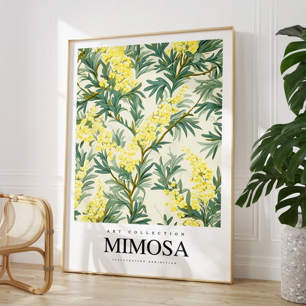 Any colour - Mimosa print - Mimosa Flowers poster - Mimosa Art - Vintage print - Any Size