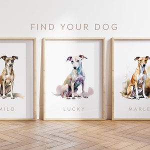 Any Colour - Whippet Dog - Whippet poster - Custom text print - Personalised print - Pet Art - Watercolour Art