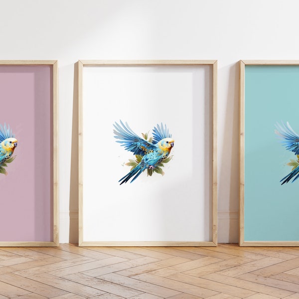 Budgerigar poster - Budgerigar bird print - Parakeet art - Budgie Art - Birds print - Any Size