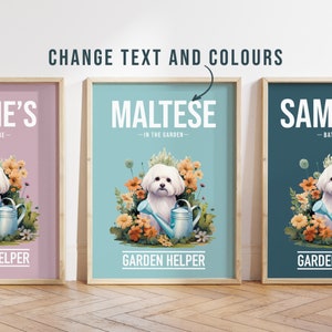 Any Colour - Maltese in garden poster - Maltese poster - Custom text print - Personalised print - Pet Art