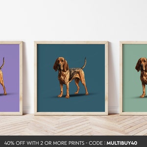 Any colour - Bloodhound poster - Bloodhound print - Dog print - Dog Art - Any Size
