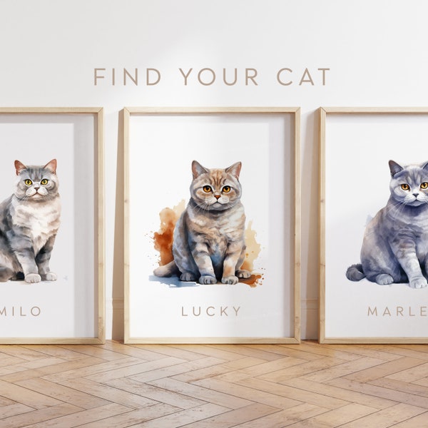 Any Colour - British Shorthair Cat - British Shorthair Cat poster - Custom text print - Personalised print - Pet Art - Watercolour Art