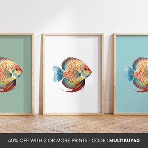 Any colour  - Discus Fish Print - Discus Fish Print poster - Discus Fish Print Art - Fish print - Any Size