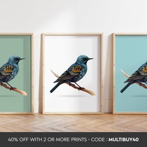 Any colour - Starling Bird Print - Starling poster - Starling Art - Bird Prints - Any Size