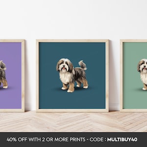Any colour - Tibetan Terrier Dog poster - Tibetan Terrier print - Tibetan Terrier Dog print - Dog Art - Any Size