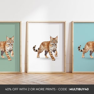 Any colour  - Bobcat Print - Bobcat poster - Bobcat Art - Bobcat print - Any Size