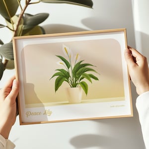 Peace Lily Plant Landschaftsdruck, Peace Lily Plant Poster, Peace Lily Plant Wandkunst