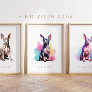 Any Colour - Mexican Hairless Dog - Mexican Hairless Dog poster - Custom text print - Personalised print - Pet Art - Watercolour Art