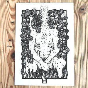 Art print, illustration, prints, posters, wall decoration, wall art, home furnishings