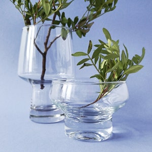 Op de afbeelding: Twee heldere glazen vazen, een hoge en een lage, met een groene, bladerrijke plant in elk.