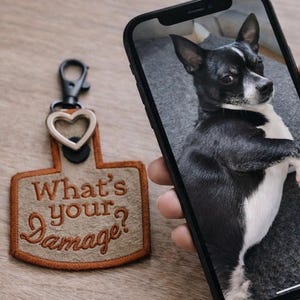Könnte beinhalten: Ein brauner und beiger Hundeanhänger mit dem Text "What's your Damage?" und einem herzförmigen Anhänger. Ein Smartphone zeigt einen schwarz-weißen Hund. Der Anhänger ist an einem schwarzen Verschluss befestigt.
