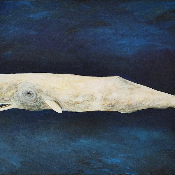 Sperm Whale Oil Etsy