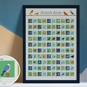 British Birds Poster - Write On | Bird Bucket List Poster | Bird Life List | Bird Diary | 100 Illustrated Birds Poster | A2 | Bird Journal