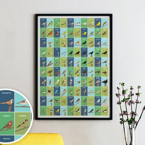 Póster de aves británicas / Póster de 100 aves británicas / Impresión de aves del Reino Unido / Póster impreso con ilustraciones de aves / A3 A2