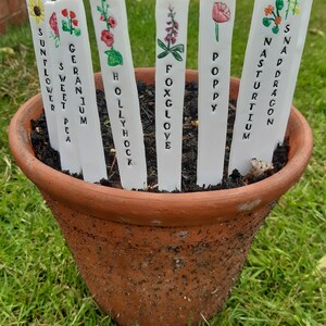 Pu&ograve; includere: Marche per piante bianche con scritte nere e illustrazioni colorate di fiori. I marcatori sono disposti in un vaso di terracotta con terra e erba verde sullo sfondo. I marcatori recitano: Girasole, Pisello dolce, Geranio, Malva reale, Digitale, Papavero, Nasturzio, Bocca di leone.