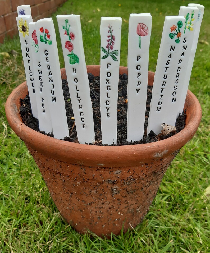 Pu&ograve; includere: Marche per piante bianche con scritte nere e illustrazioni colorate di fiori. I marcatori sono disposti in un vaso di terracotta con terra e erba verde sullo sfondo. I marcatori recitano: Girasole, Pisello dolce, Geranio, Malva reale, Digitale, Papavero, Nasturzio, Bocca di leone.
