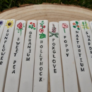 Pu&ograve; includere: Dieci segnalini per piante in ceramica bianca con lettere nere e fiori dipinti colorati. I segnalini sono etichettati: Petunia, Girasole, Pisello dolce, Geranio, Malva, Digitale, Papavero, Nasturzio, Bocca di leone, Viola del pensiero.