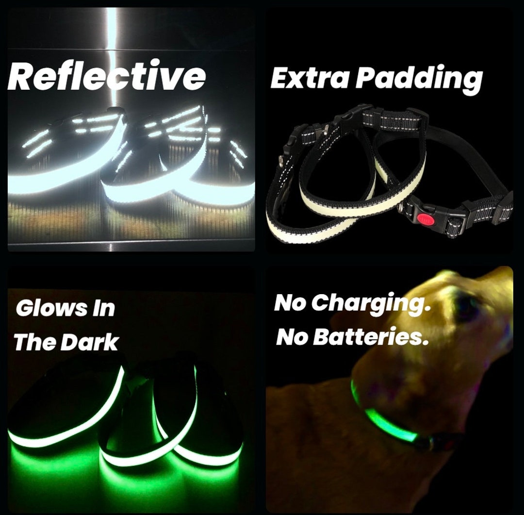 Uks Only Reflective & Glow in the Dark Dog Collar. No - Etsy