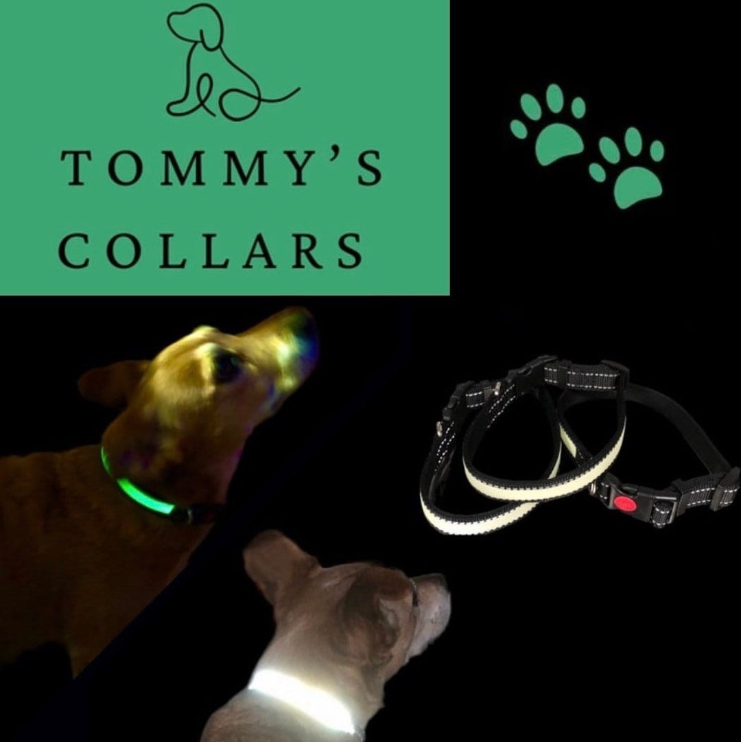 Uk’s Only Reflective & Glow in the Dark Dog Collar. No Charging. No