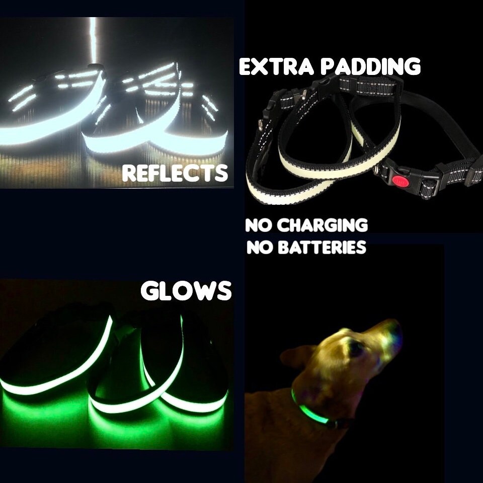 Glow In The Dark Dog Collar No Batteries