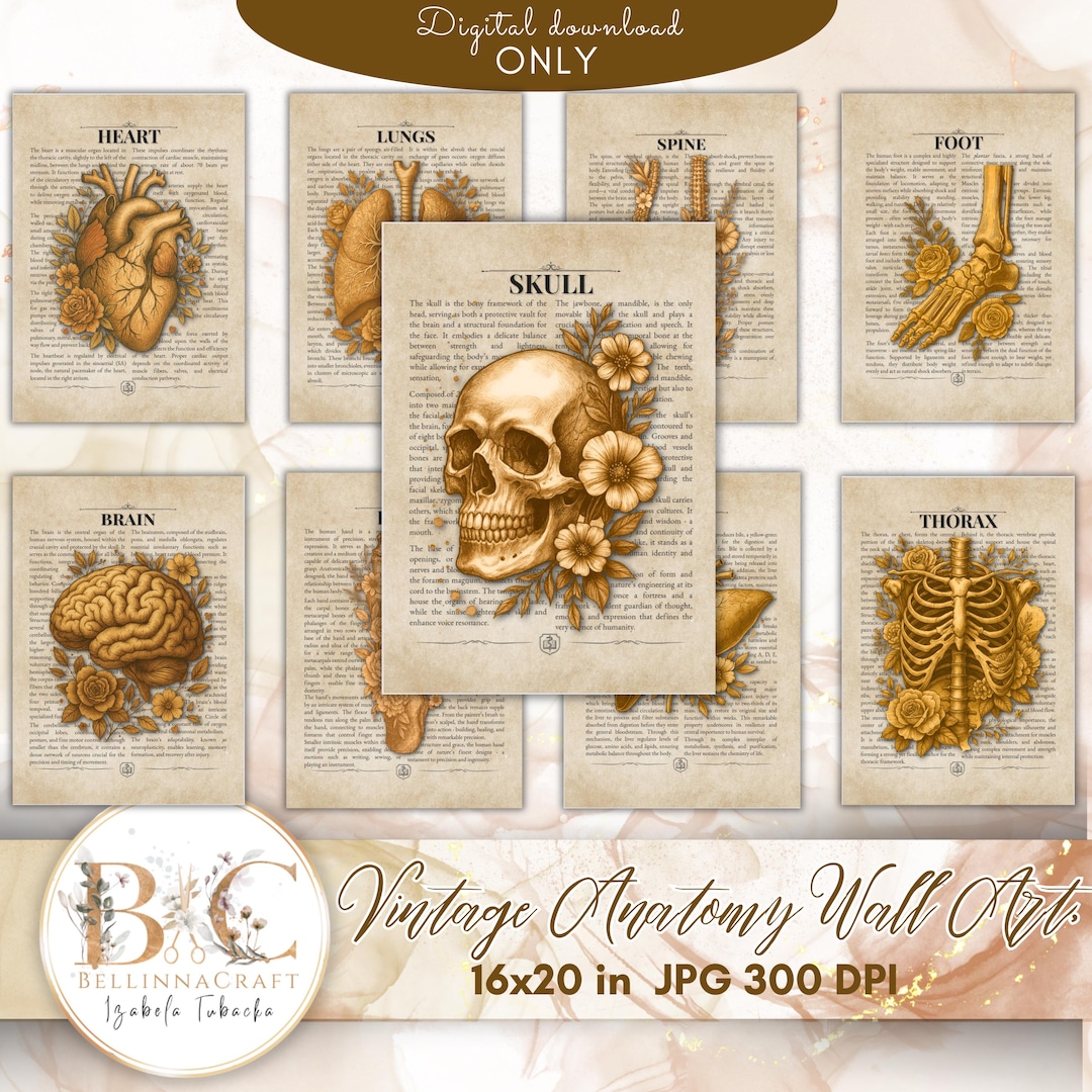 Vintage Anatomy Wall Art Set, Antique Medical Illustrations, Human Body ...