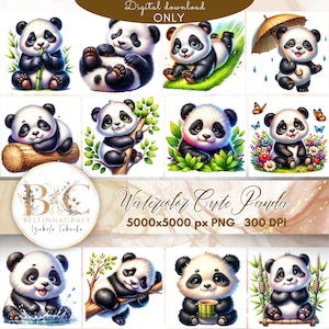 Aquarell niedlichen Panda Clipart, Baby Panda Bären Clipart PNG, hohe Qualität PNG Digital Download, wunderliche Panda, Baby Kindergarten Kunst, Panda PNG