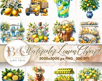 Paquete de imágenes prediseñadas de limón en acuarela: ilustraciones de cítricos de verano, limoncello, limonero, puesto de mercado, frutas florales PNG, imágenes prediseñadas de frutas PNG