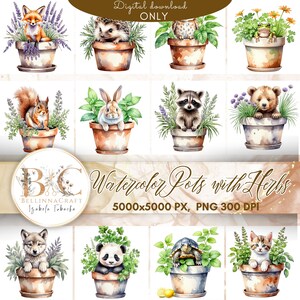 Vasos de aquarela com ervas e animais clipart, PNG, clipart de animais fofos, vasos de ervas PNG, clipart de animais bebês em aquarela, pacote de ervas