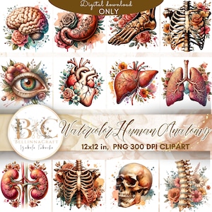 Pacote de clipart de coisas efêmeras de anatomia humana em aquarela, clipart em aquarela, Clipart de anatomia vintage, clipart de anatomia antiga, órgão e flor png