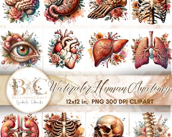 Zestaw clipartów akwarelowych anatomii człowieka Ephemera, clipart akwarelowy, Clipart anatomii vintage, Clipart antycznej anatomii, Organ i kwiat png