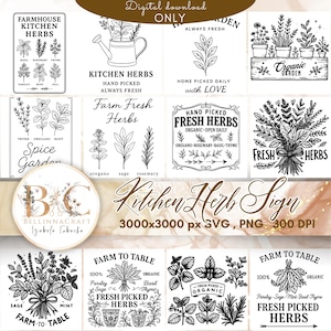 Cartello SVG per erbe aromatiche da cucina, pacchetto SVG per erbe aromatiche, citazione sulle erbe aromatiche fresche da fattoria, set di spezie da giardino, file di taglio per cartelli da porta da fattoria, giardino di erbe aromatiche biologiche