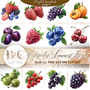 Aquarell Sommer Obst Clipart, Beere Clipart Bundle, Aquarell Beeren, Erdbeere Clipart, Waldbeeren PNG, Brombeere, Foodie Clipart