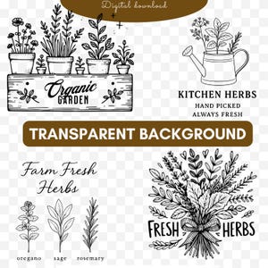 Może przedstawiać: Czarno-białe ilustracje zi&oacute;ł i element&oacute;w ogrodniczych. Zawiera rośliny doniczkowe na drewnianym znaku z napisem "Organic Garden", konewkę z ziołami i bukiet zi&oacute;ł z kokardą. Tekst zawiera "Kitchen Herbs", "Farm Fresh Herbs".
