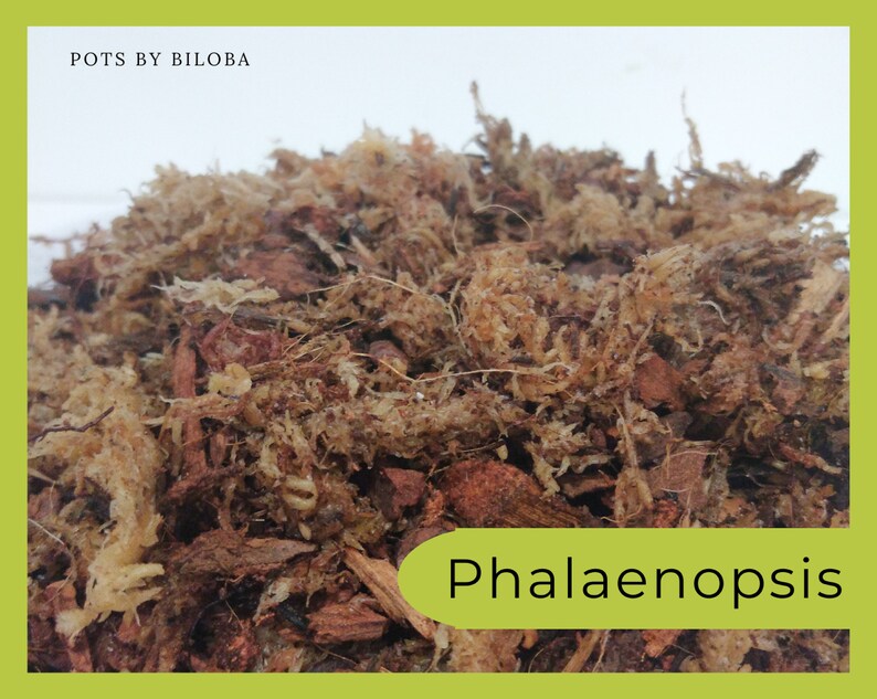 Mix de Substrats pour Orchidées épiphytes Phalaenopsis image 1
