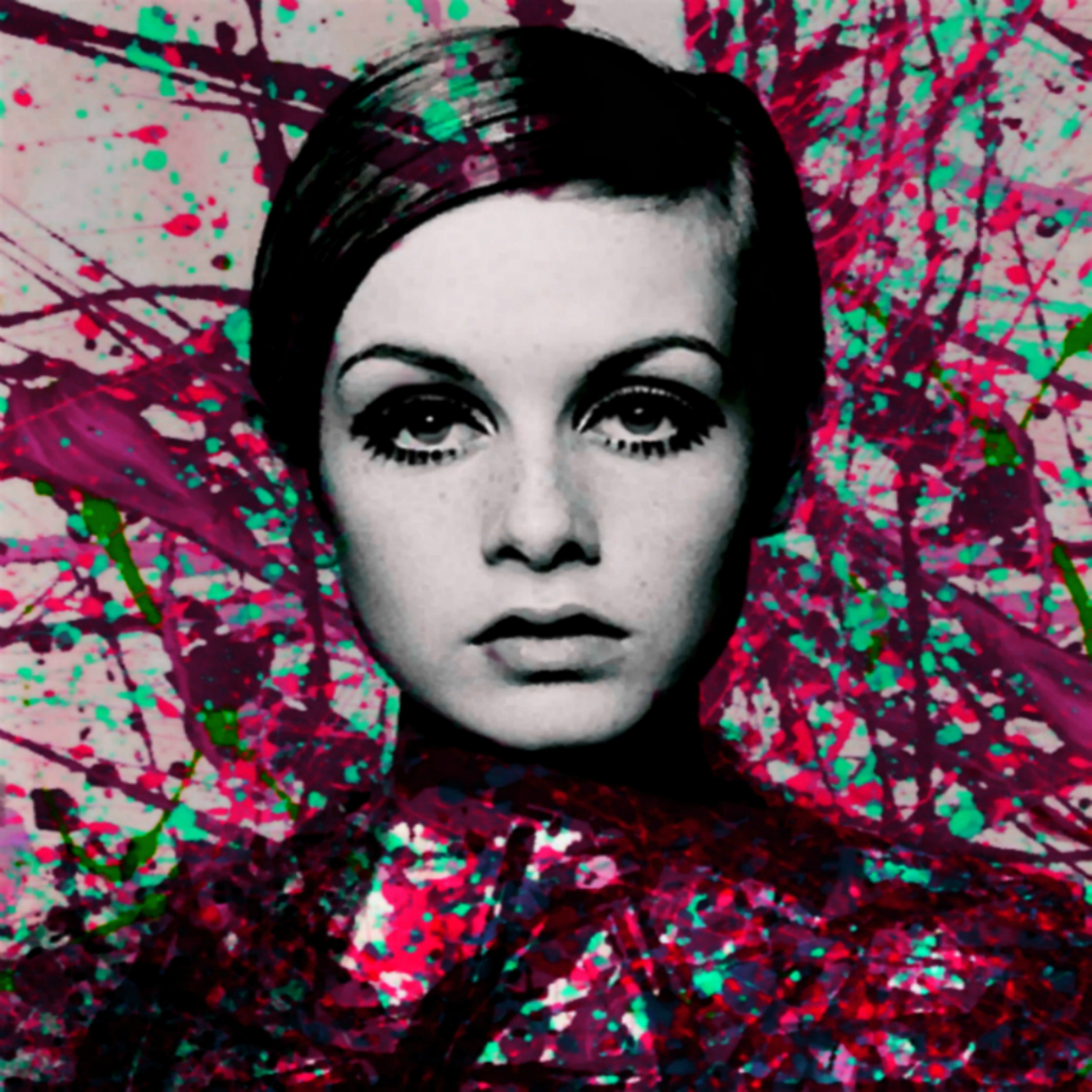 Twiggy Picture - Etsy