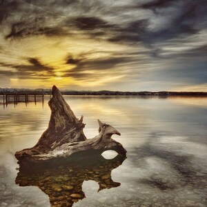 Konst med kärlek M. Detter Högupplösta Ultra HD-fotografier Dokumentation Afrika Namibia upp till 120 x 80 cm Duk Landskap Vatten Trä