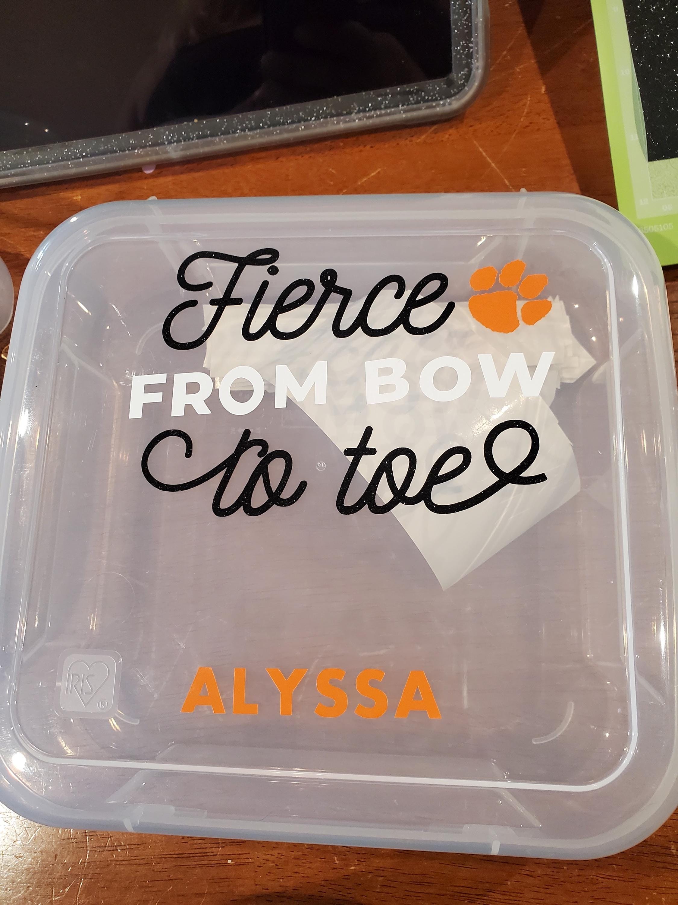 Personalized Cheer Bow Box | Clear Travel Hair Bow Holder, Custom Name ...