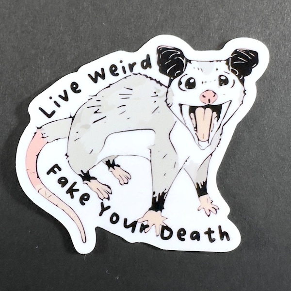 Live Weird Opossum | possum, cute, live weird, fake your death, offbeat, dark humor