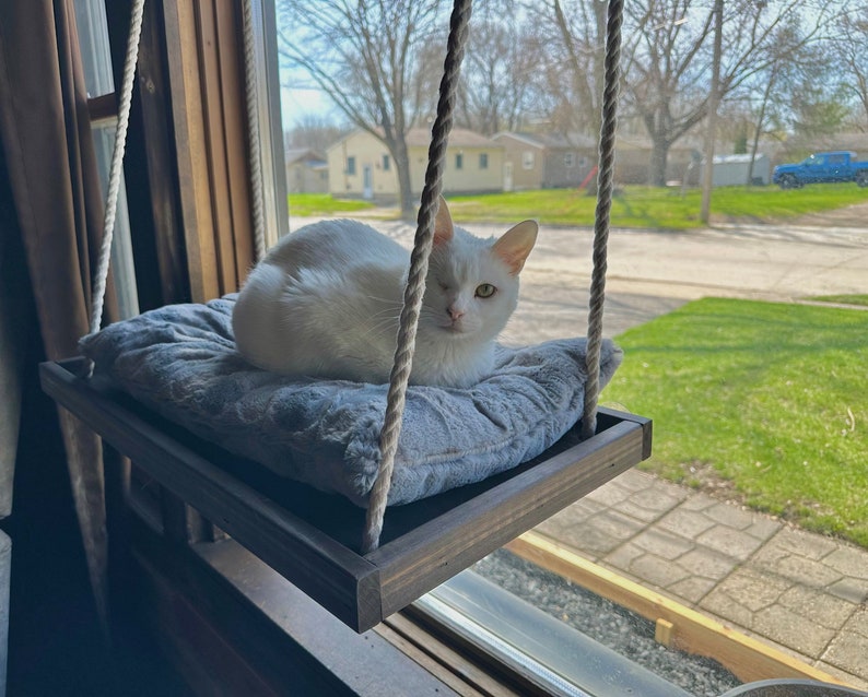 Cat Window Seat Etsy