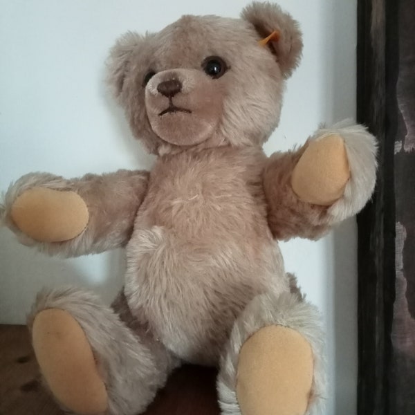 Teddy von Steiff