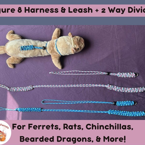 Adjustable Figure 8 Harness and Leash Set plus 2 Way Divider for Ferrets, Rats, Chinchillas, Bearded Dragons, and More!